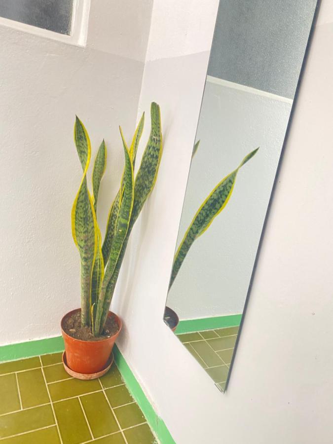 Best Rooms - Quarto 3 Plateau Praia Eksteriør billede